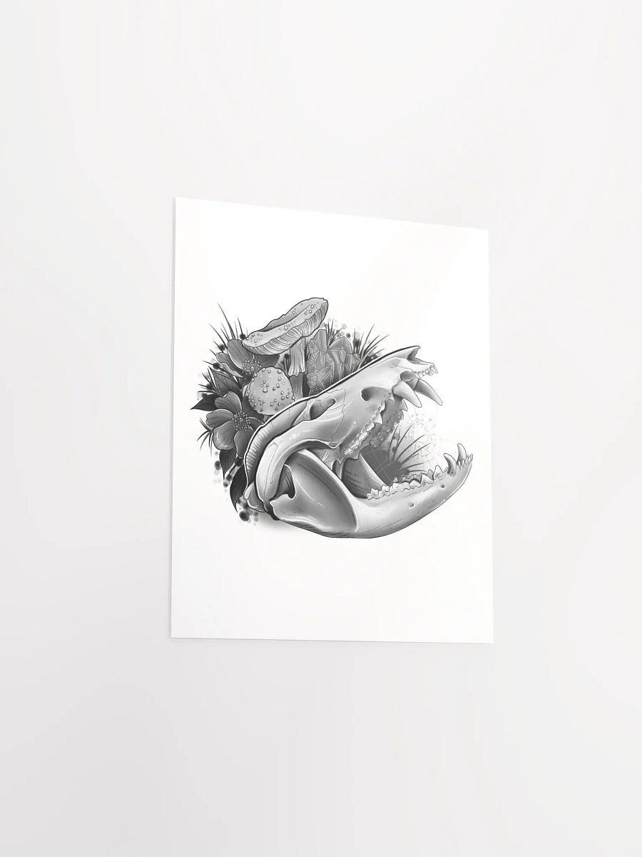 Opossum Skull Poster product image (9)