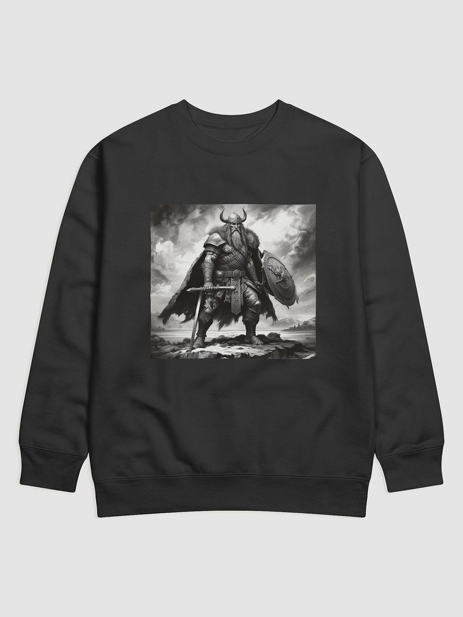 Viking Warrior product image (10)