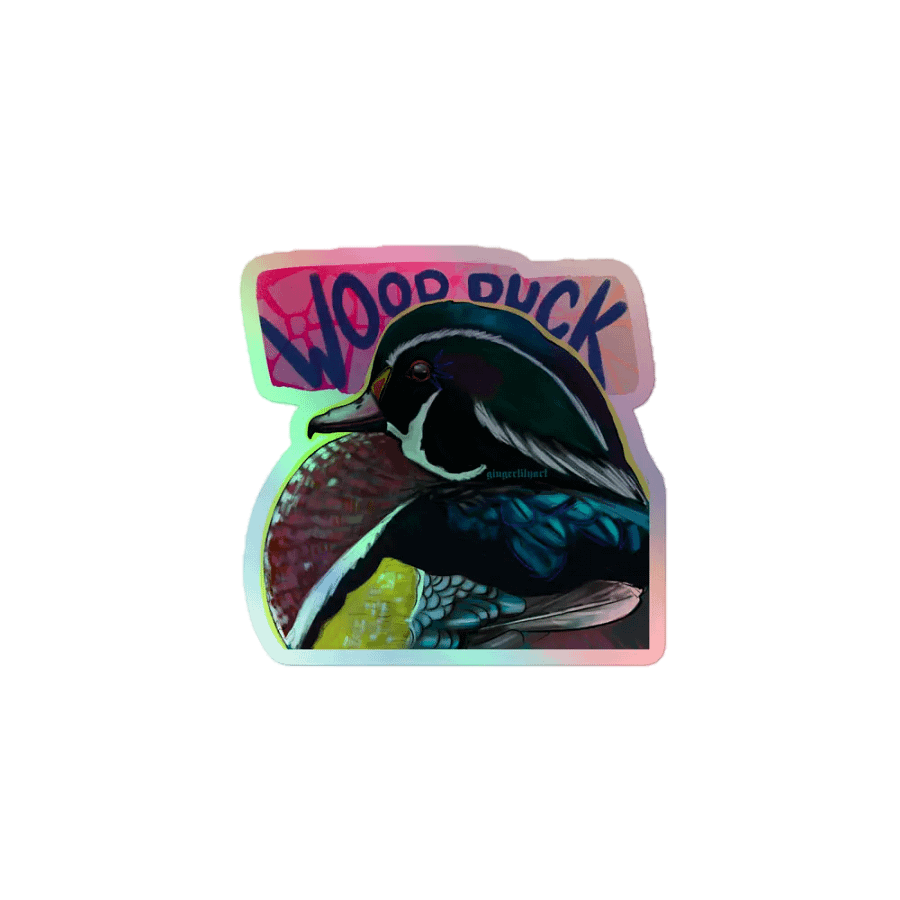 wood duck sticker product image (1)
