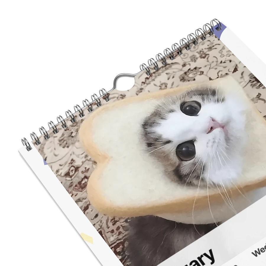 Wall Calendar (2024): Meme Cats product image (9)