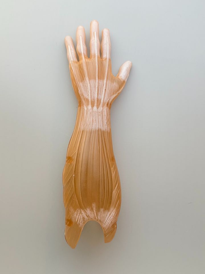 Plastic model arm vintage product image (1)