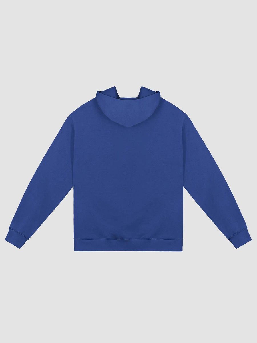 Dark Avian Oversized Hoodie product image (10)