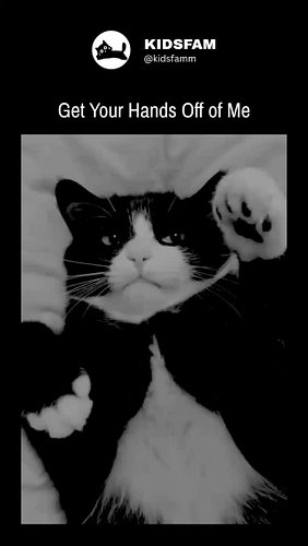 When someone tries to touch me in the morning 😒

We are building Cat Spirit Community for the free souls. We would love to in...
