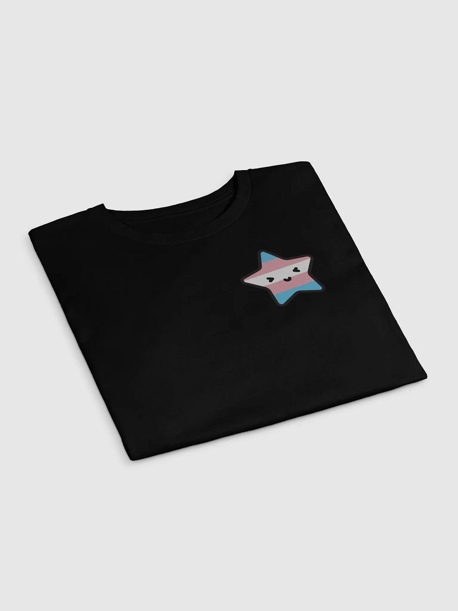 Lucy Trans Pride Crop Top product image (3)