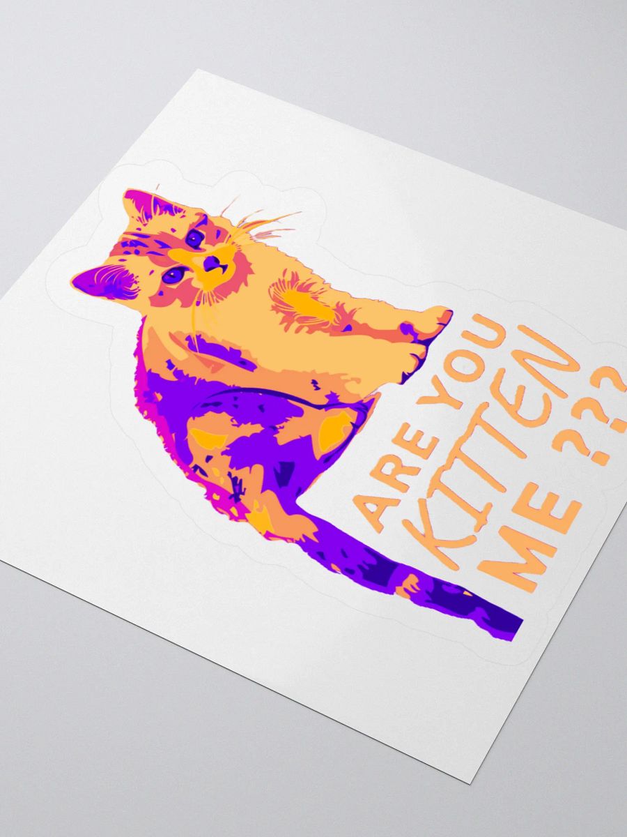 ARE YOU KITTEN ME??? product image (8)