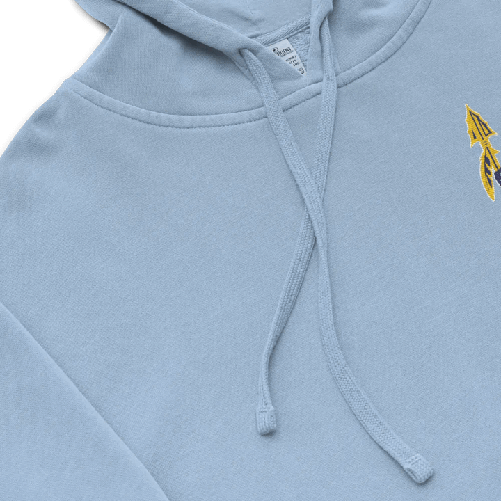 Lake Forest Latin Club Garment-Dyed Hoodie product image (7)
