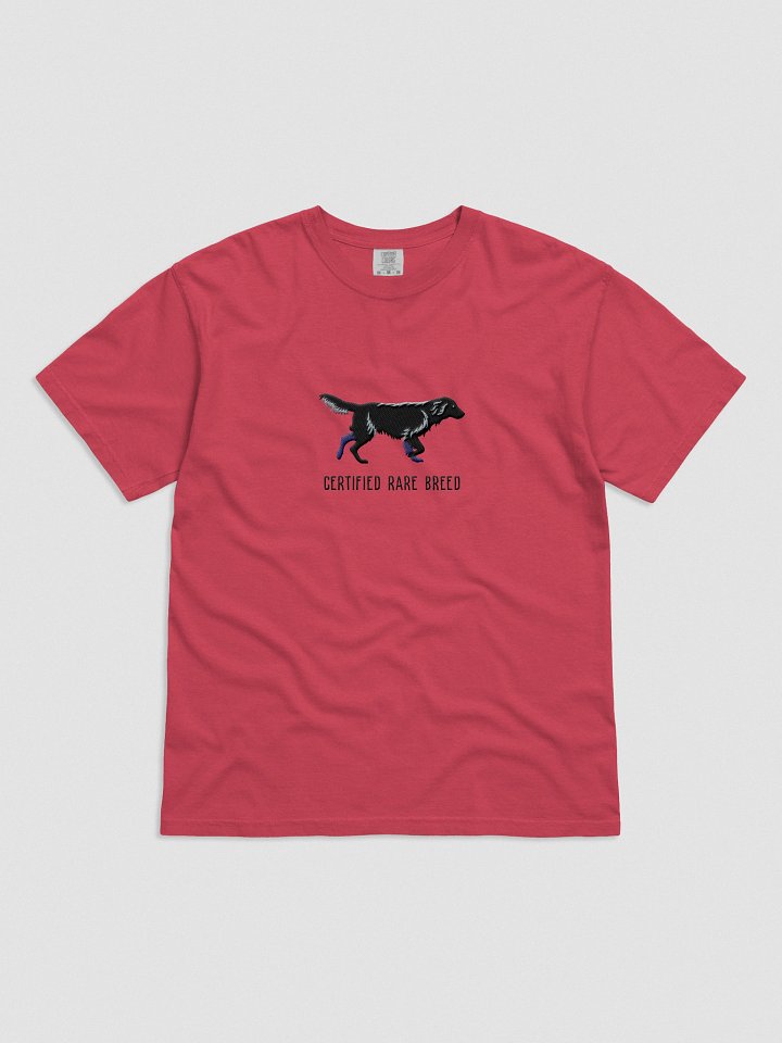 Certified Rare Breed T-Shirt(Embroidered) of a Flat-Coated Retriever(Black) product image (1)