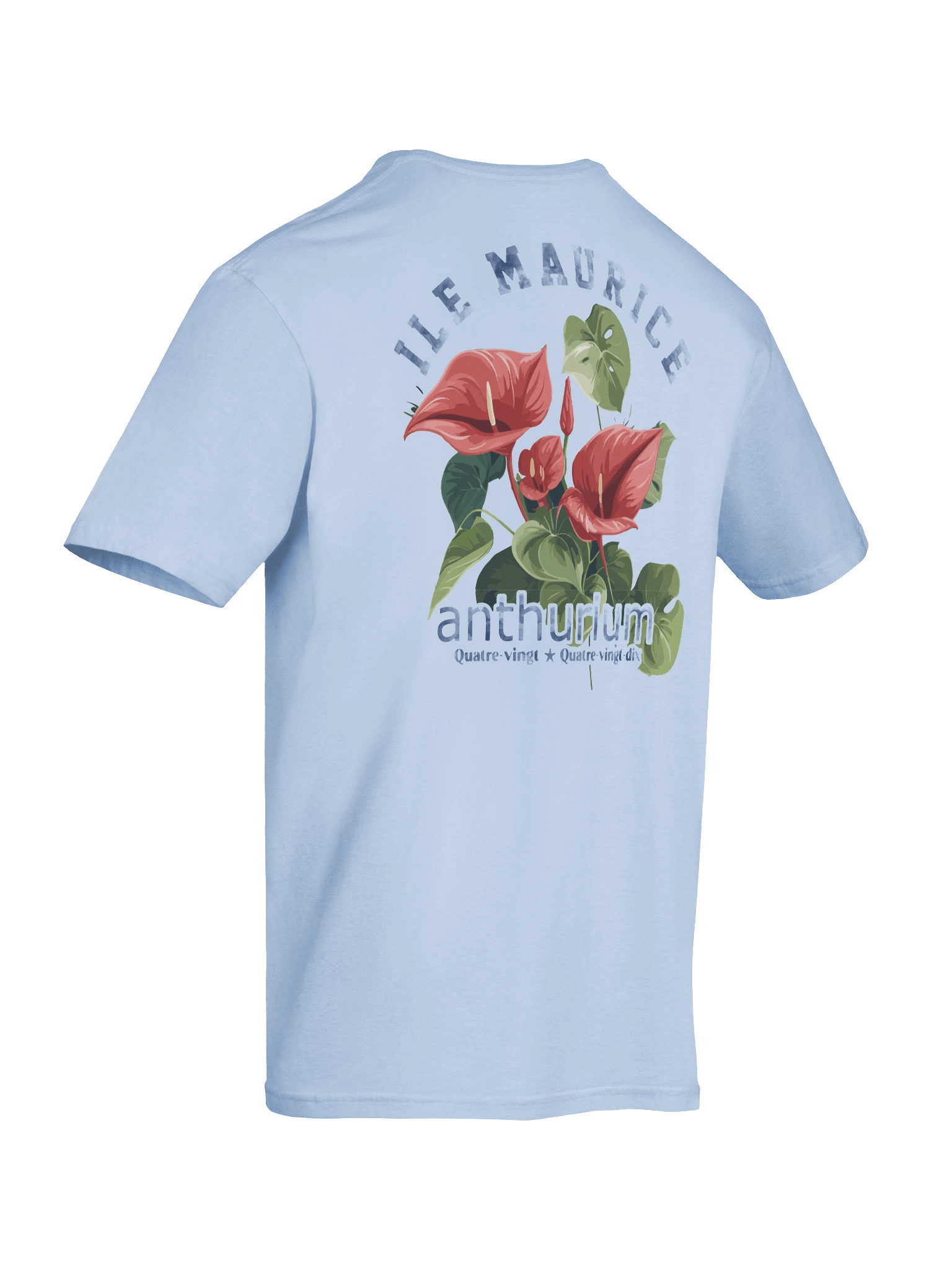 Anthurium 90s –Mauritius product image (8)