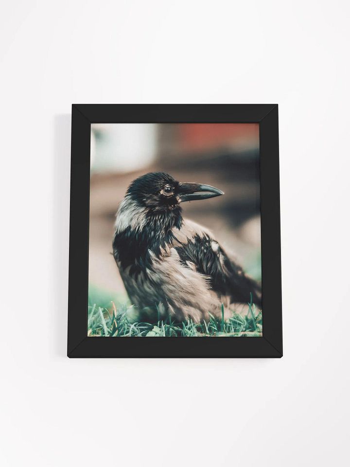 In loving memory of Hafez product image (1)