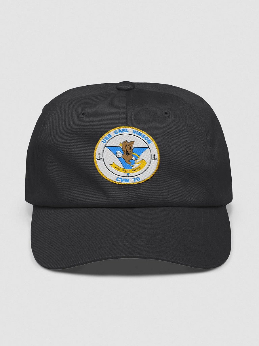 USS Carl Vinson CVN 70 product image (1)