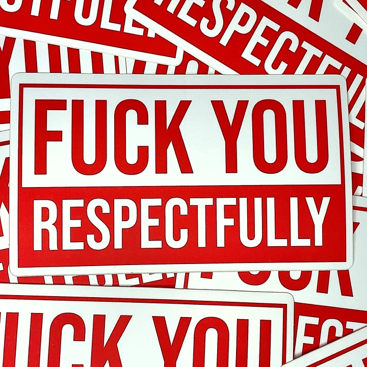 F*ck You, Respectfully product image (1)