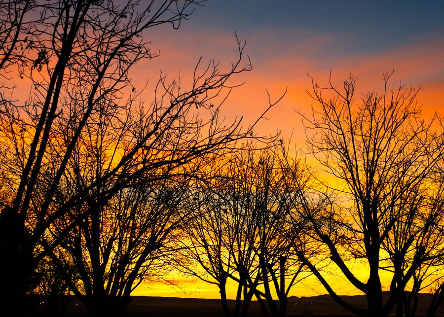 Morning product image (1)
