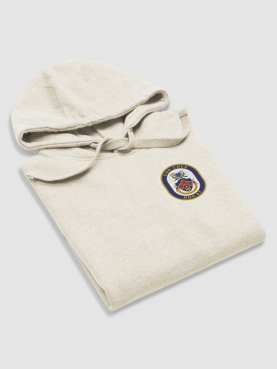 USS Cole DDG 67: Hooded Sweatshirt product image (43)