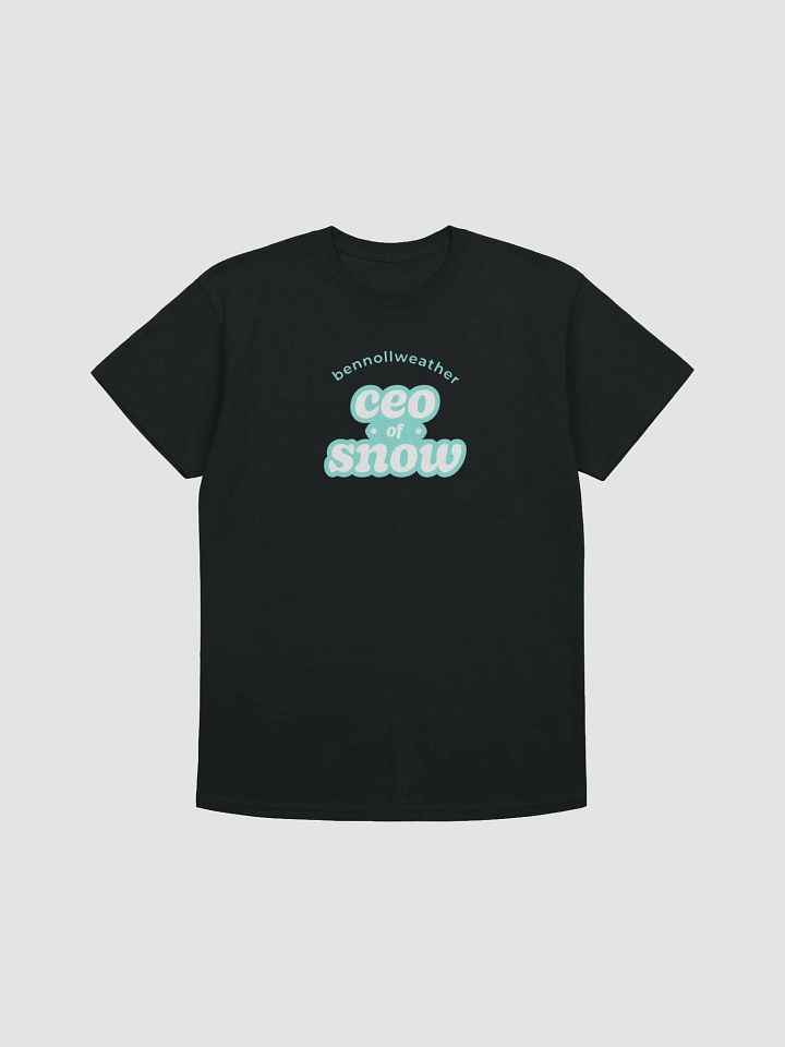 CEO of snow t-shirt - mint logo product image (3)
