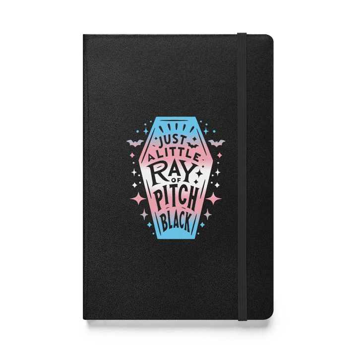 Little Ray Trans Flag Journal product image (1)
