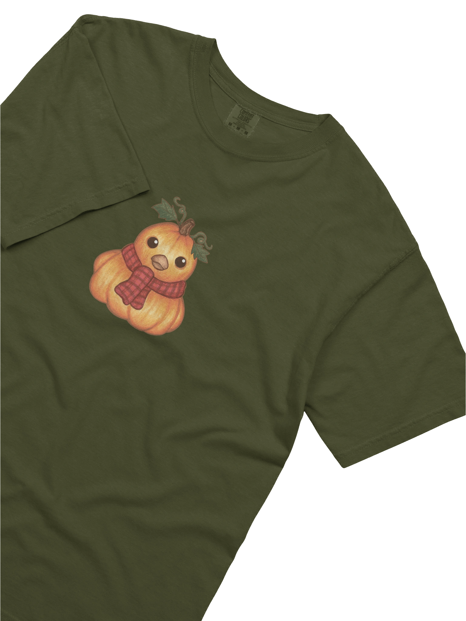 Pumpkin Duck - Comfort Colors T-Shirt product image (15)