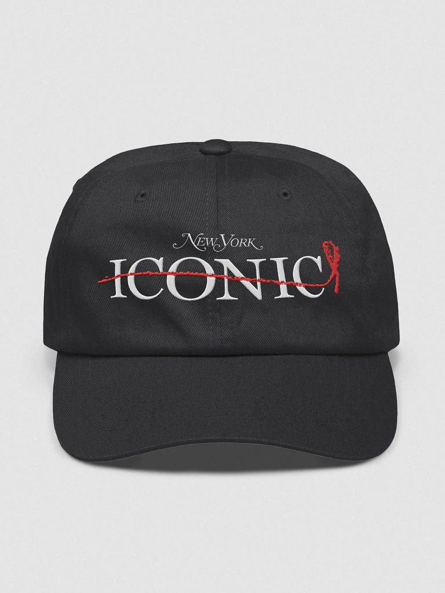 Queries ICONIC Baseball Cap product image (1)