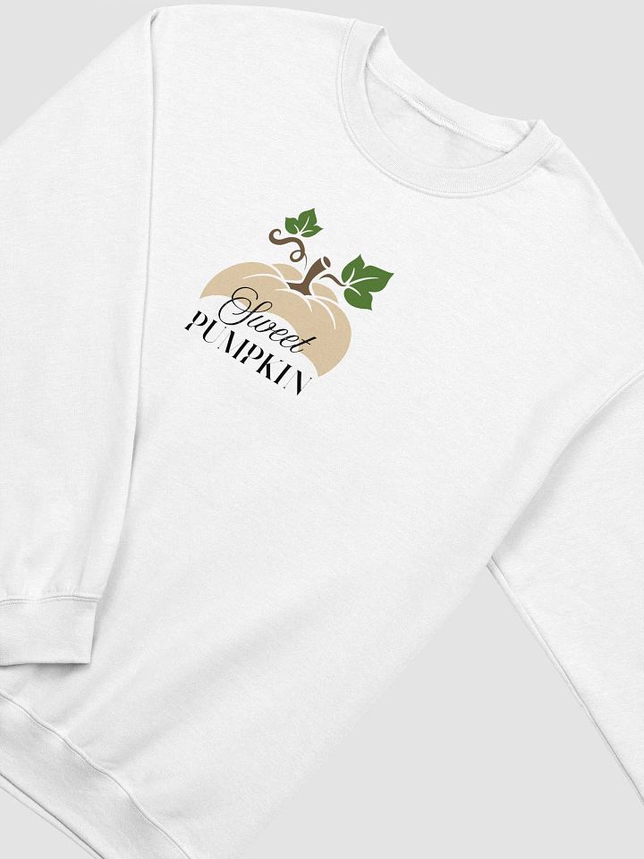 Harvest Charm Sweet Pumpkin Sweatshirt product image (2)