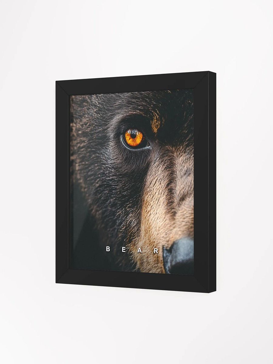 Bear's Eye Matte Poster product image (31)