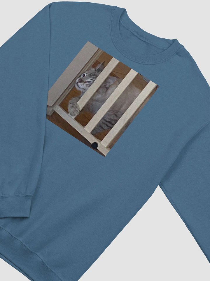 Cat Jail product image (4)