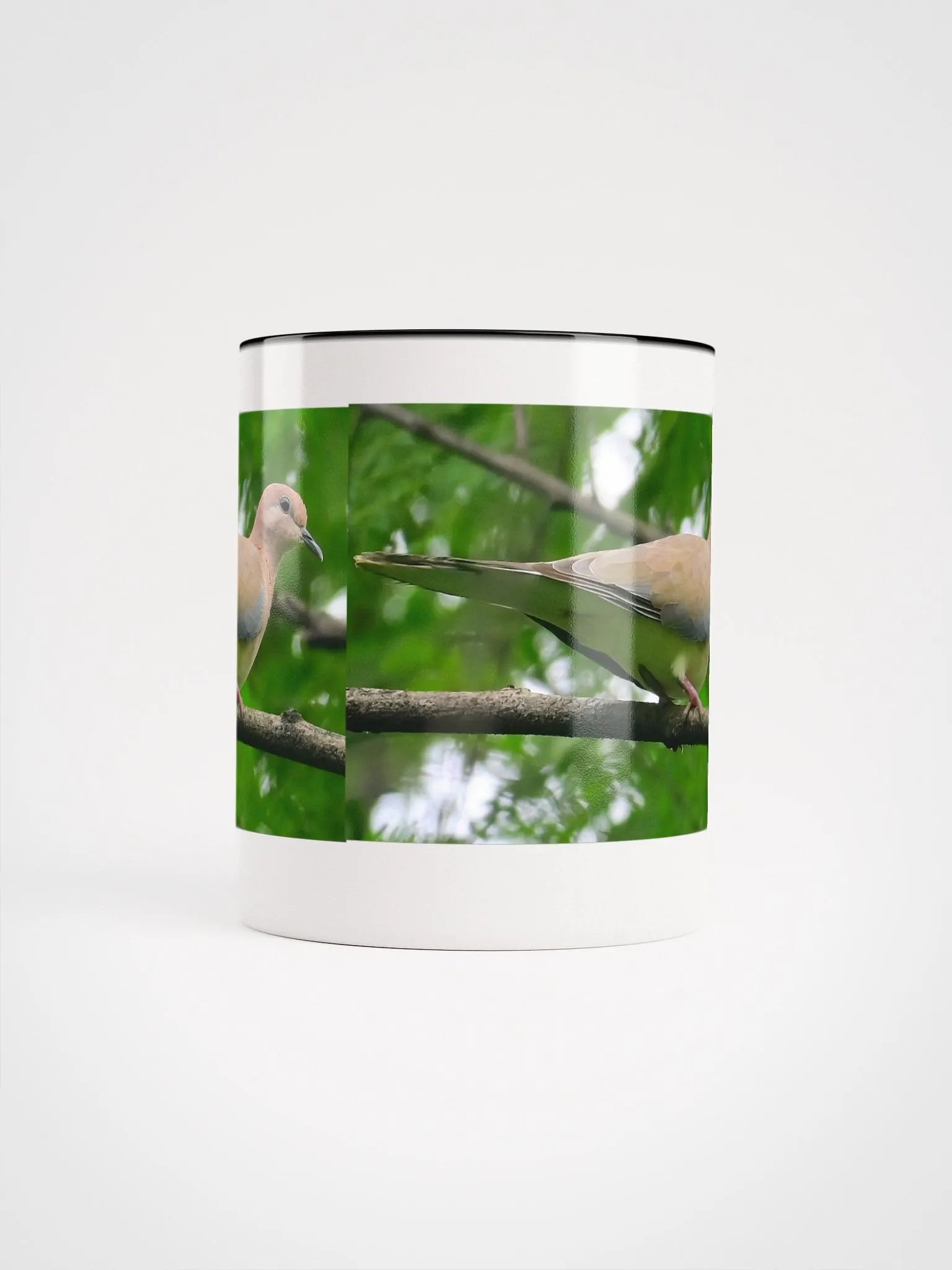 IUCAA Birds MUG product image (70)