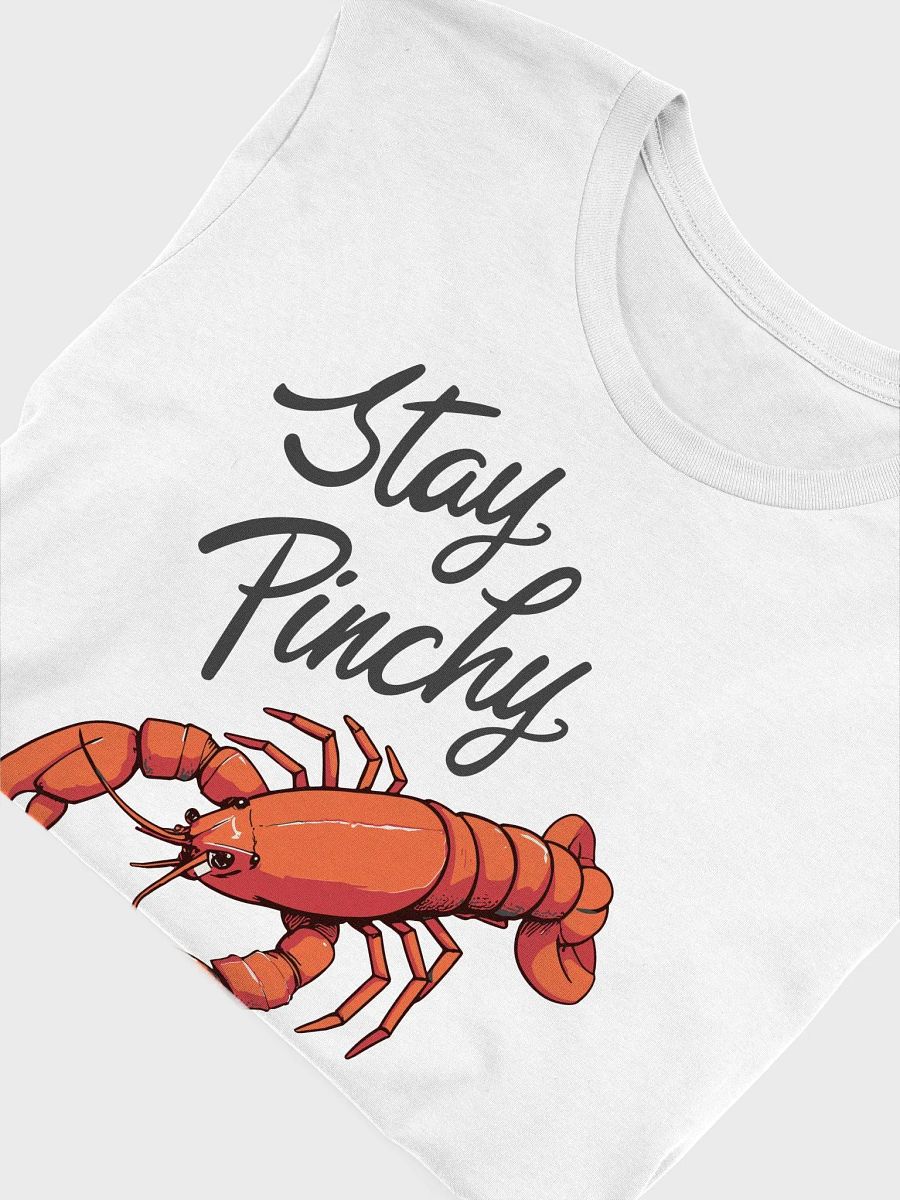 Stay Pinchy | Minimalist Chic Lobster Women's T-Shirt product image (5)