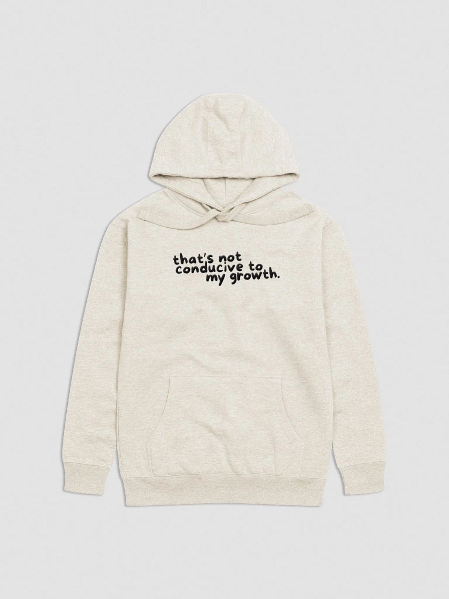 Conducive Hoodie (Embroidered) product image (4)