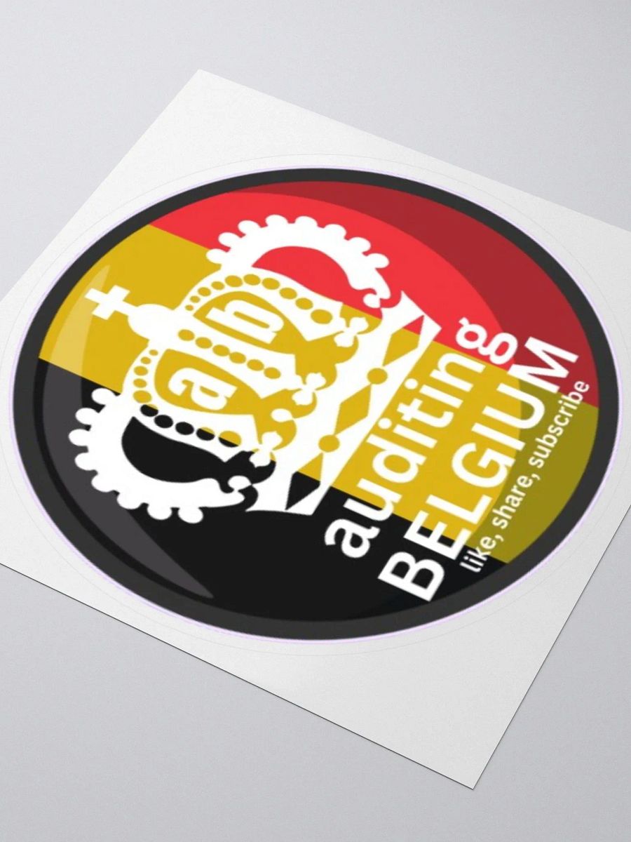 AUDITING BELGIUM product image (3)
