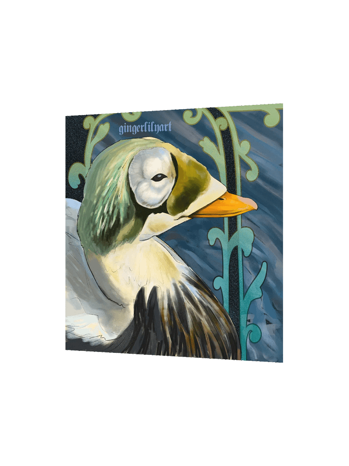 speckled eider duck product image (3)
