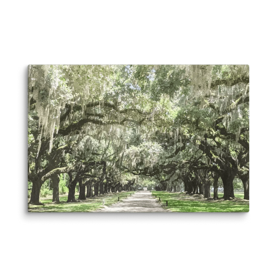 Avenue of the Oaks, Boone Hall Plantation Watercolor Canvas Print product image (5)