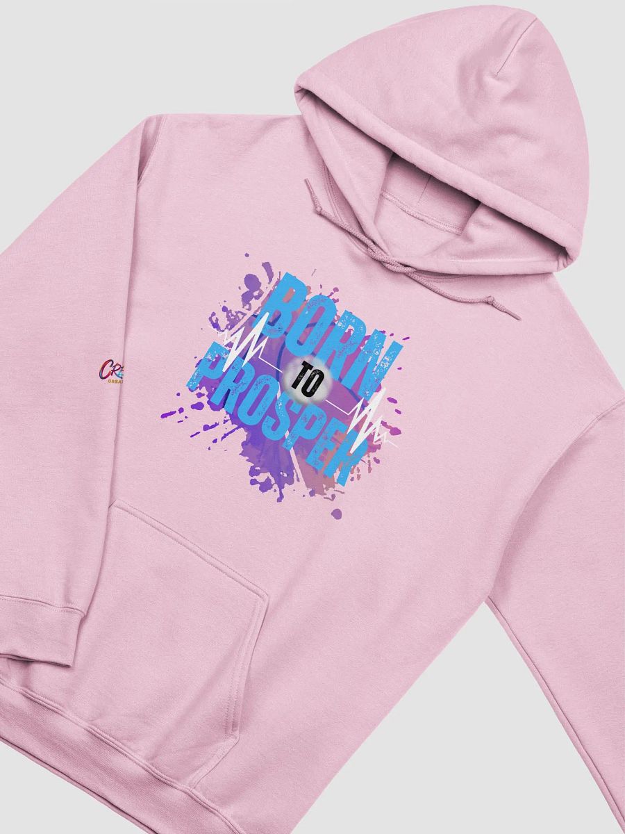 Born to Prosper Hoodie product image (1)