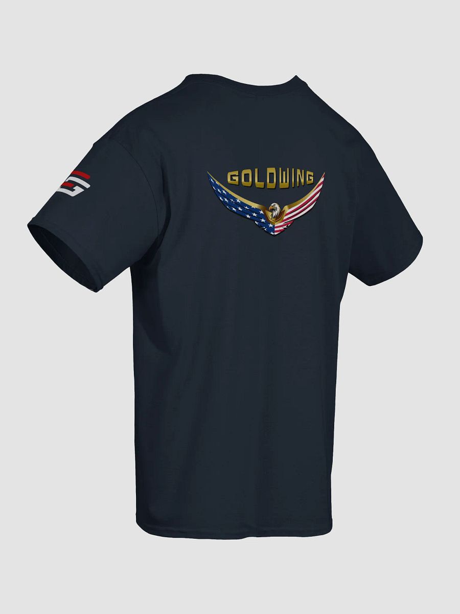American Eagle -Front and Back - Dark Tee product image (23)