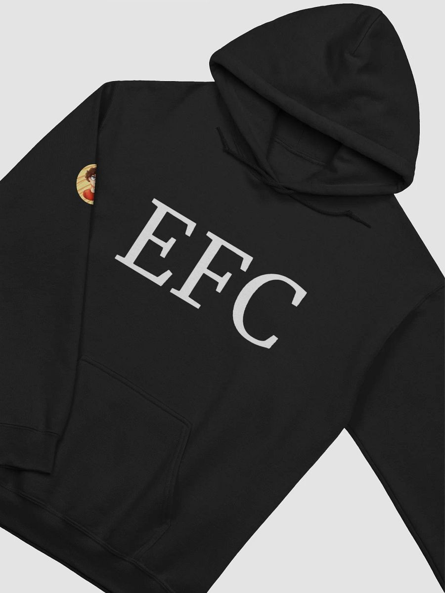 Ethan Fan Club Hoodie product image (20)