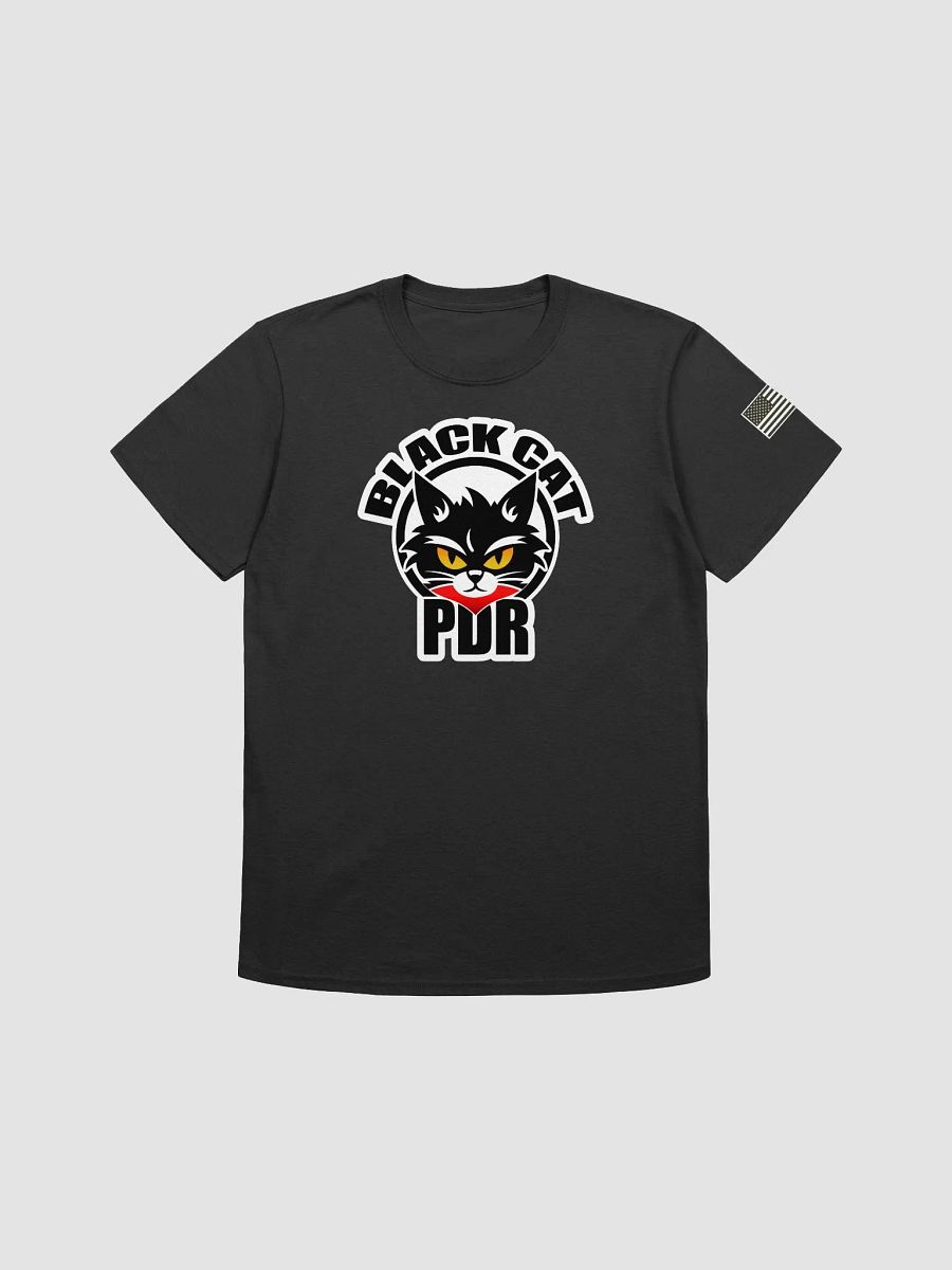 PDR Racing Logo Relaxed T product image (3)