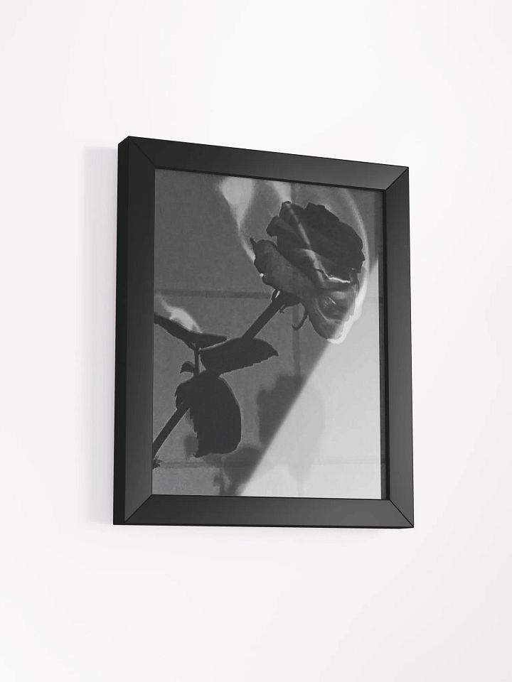 ROSE product image (2)
