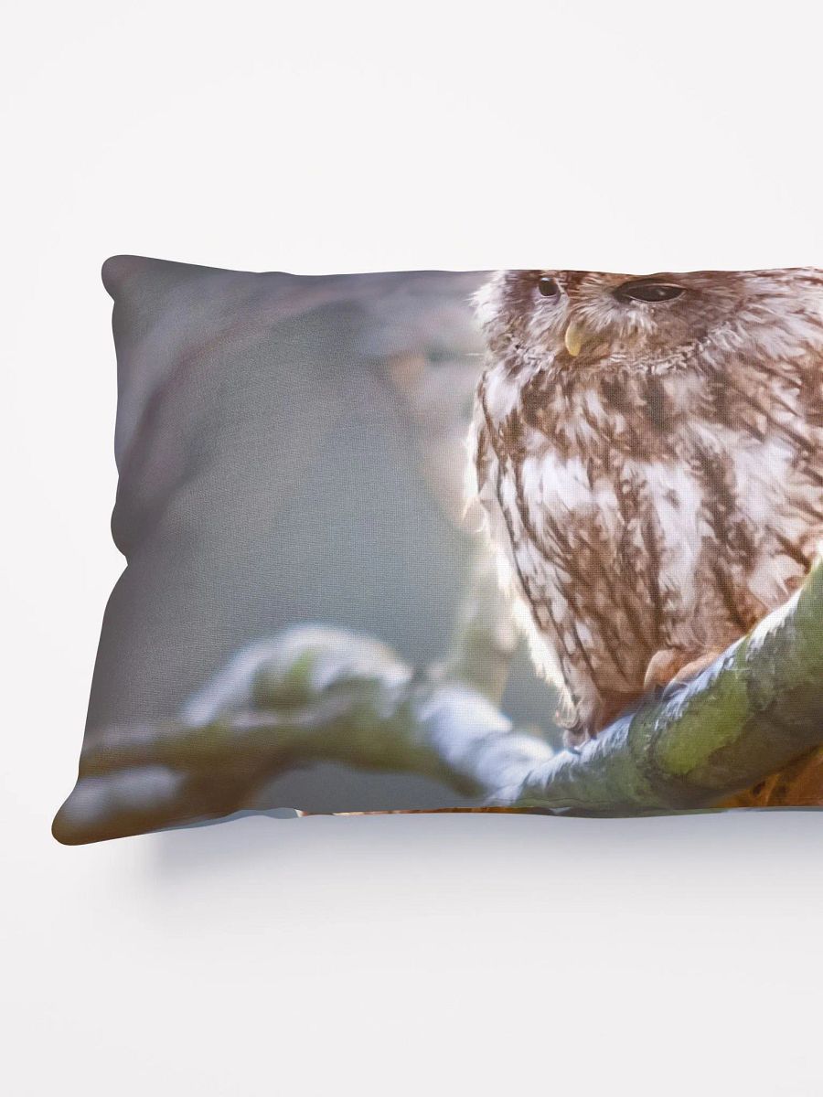Brown Owl product image (7)