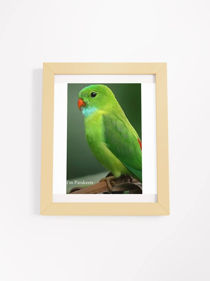 Framed High-Quality Matte Poster (in) Parakeets product image (4)