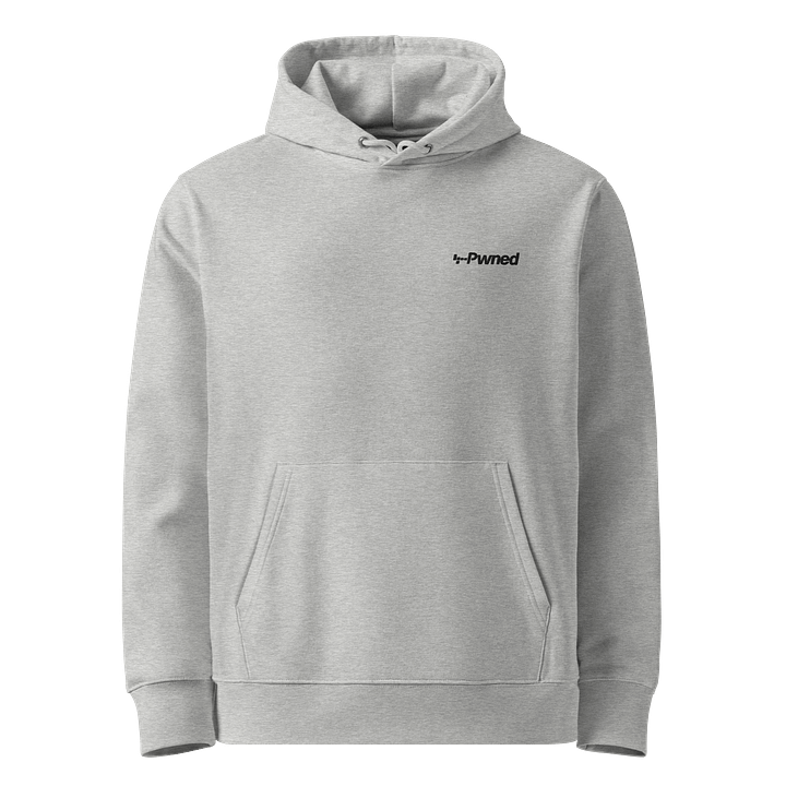 The Pwned Hoodie - Embroidered product image (1)