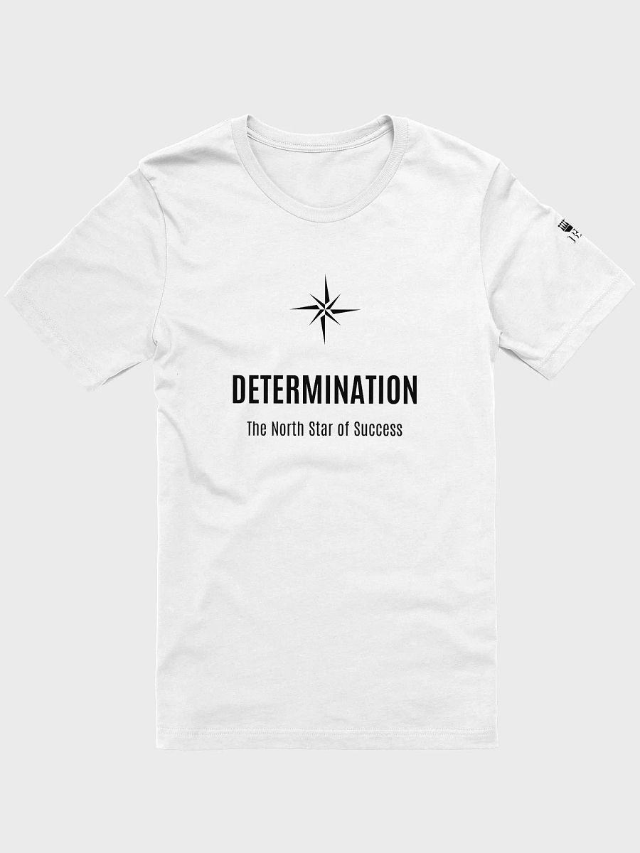 Determination: The North Star of Success product image (46)