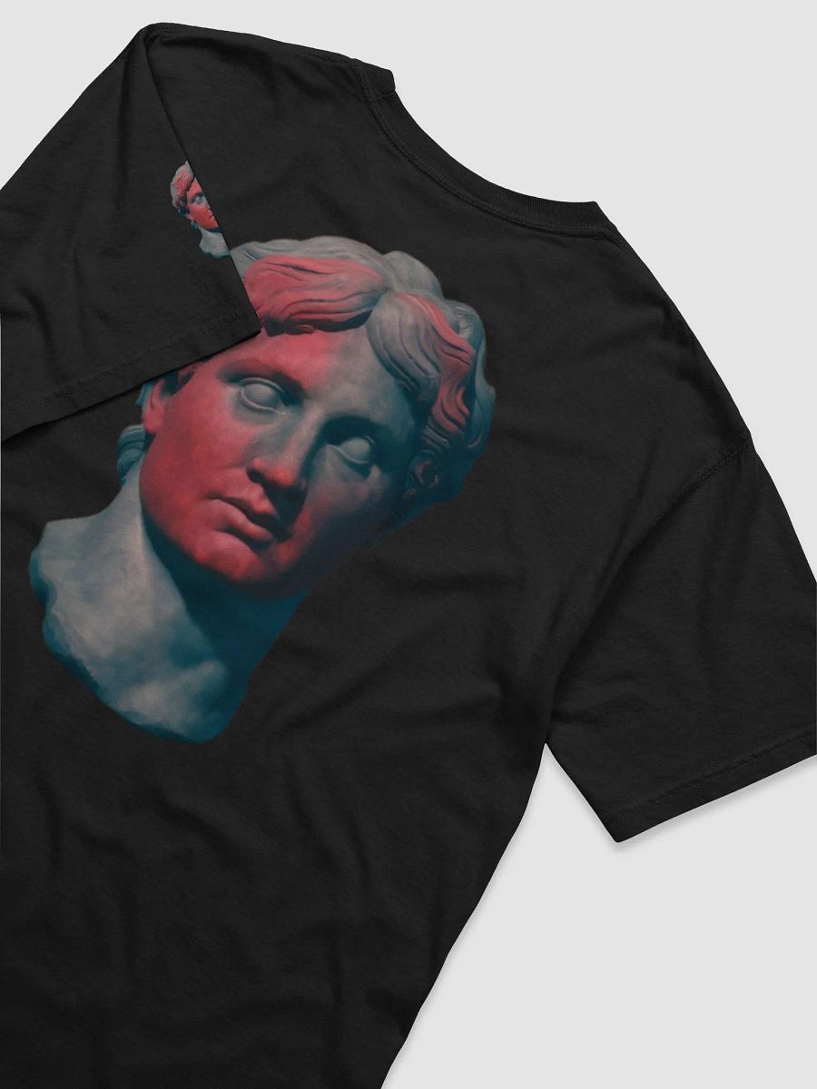Classical Art with a Modern Twist product image (4)