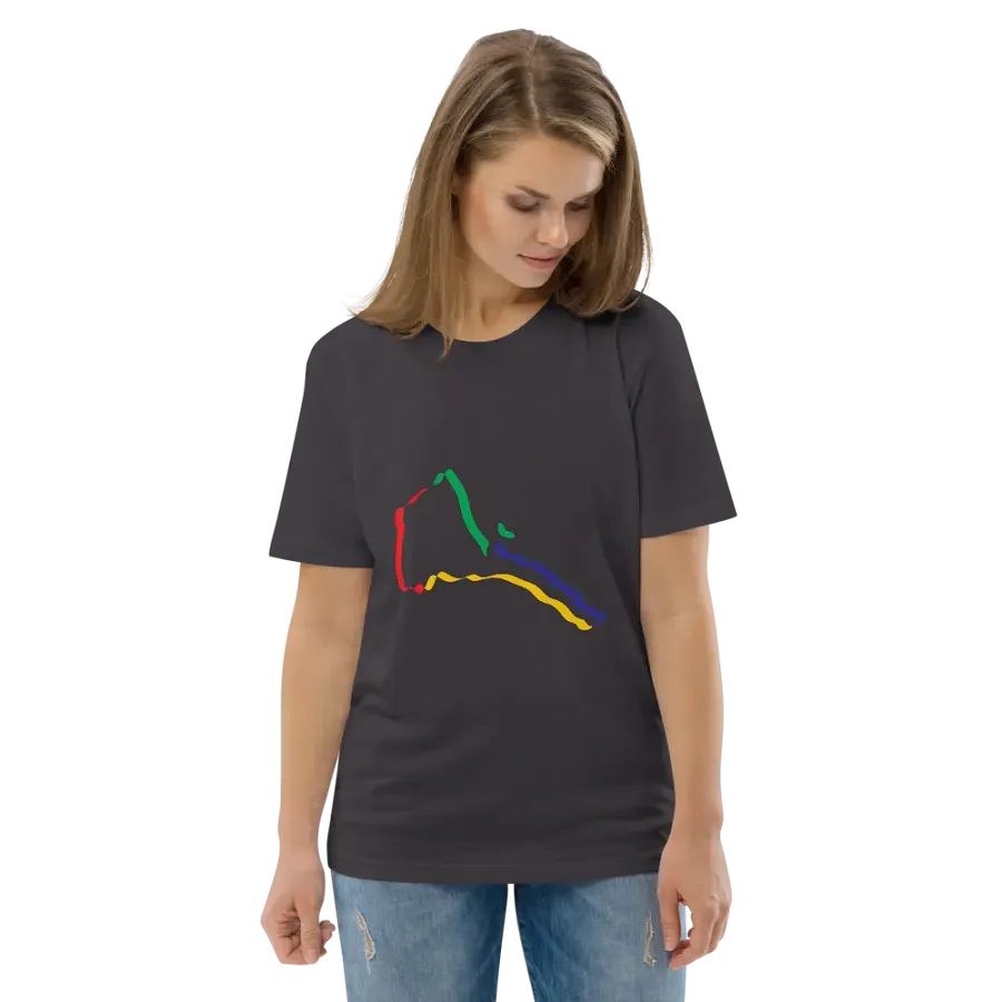 Chromatic Lines Organic Cotton T-Shirt product image (140)