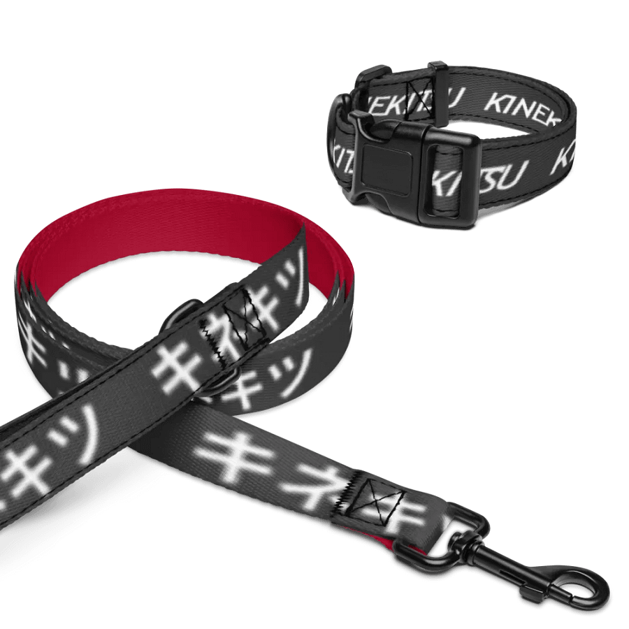 Pilot Pet Collar+Leash Set product image (16)
