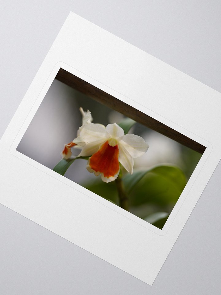 Blooming Beauty Kiss Cut Stickers product image (2)