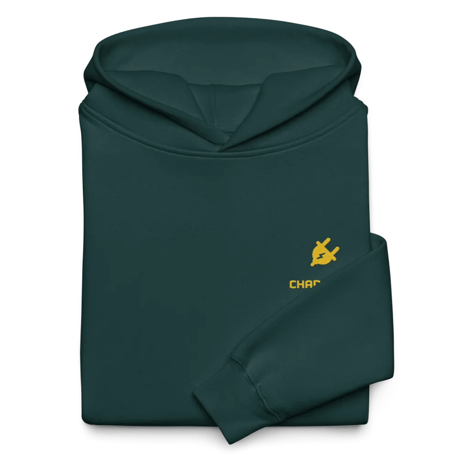 Energize Premium Hoodie product image (9)
