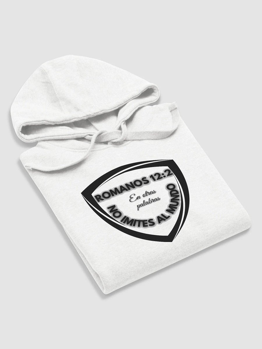 ROMANOS 12:2 Unisex Premium Hoodie product image (5)