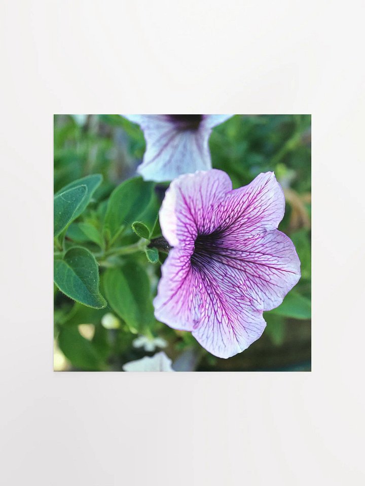 Purple Flower product image (4)