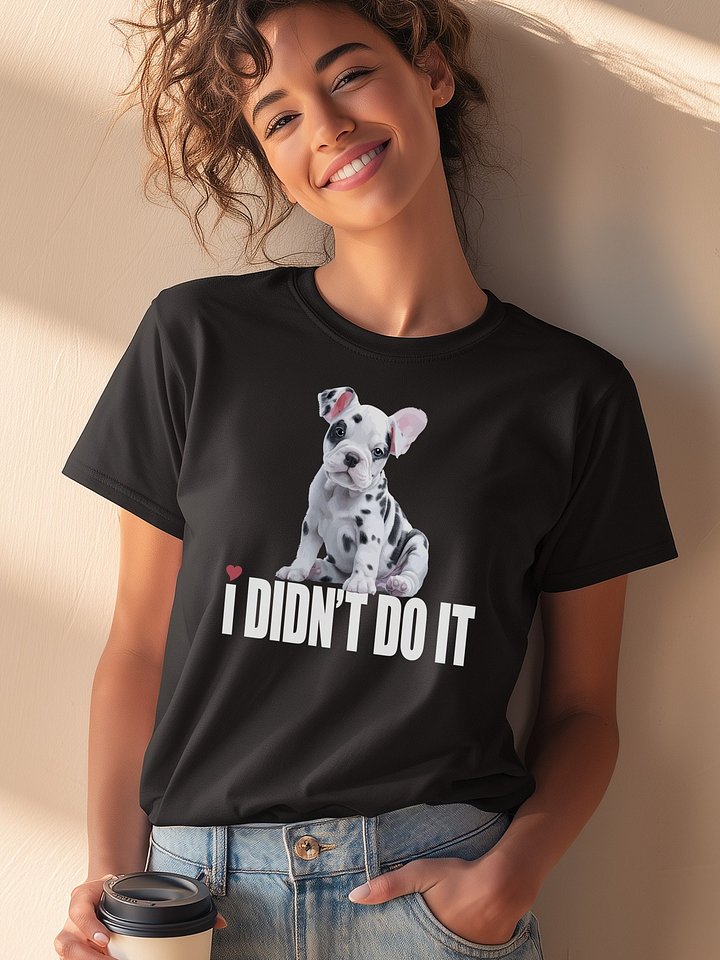 😒 I DIDN’T DO IT product image (2)
