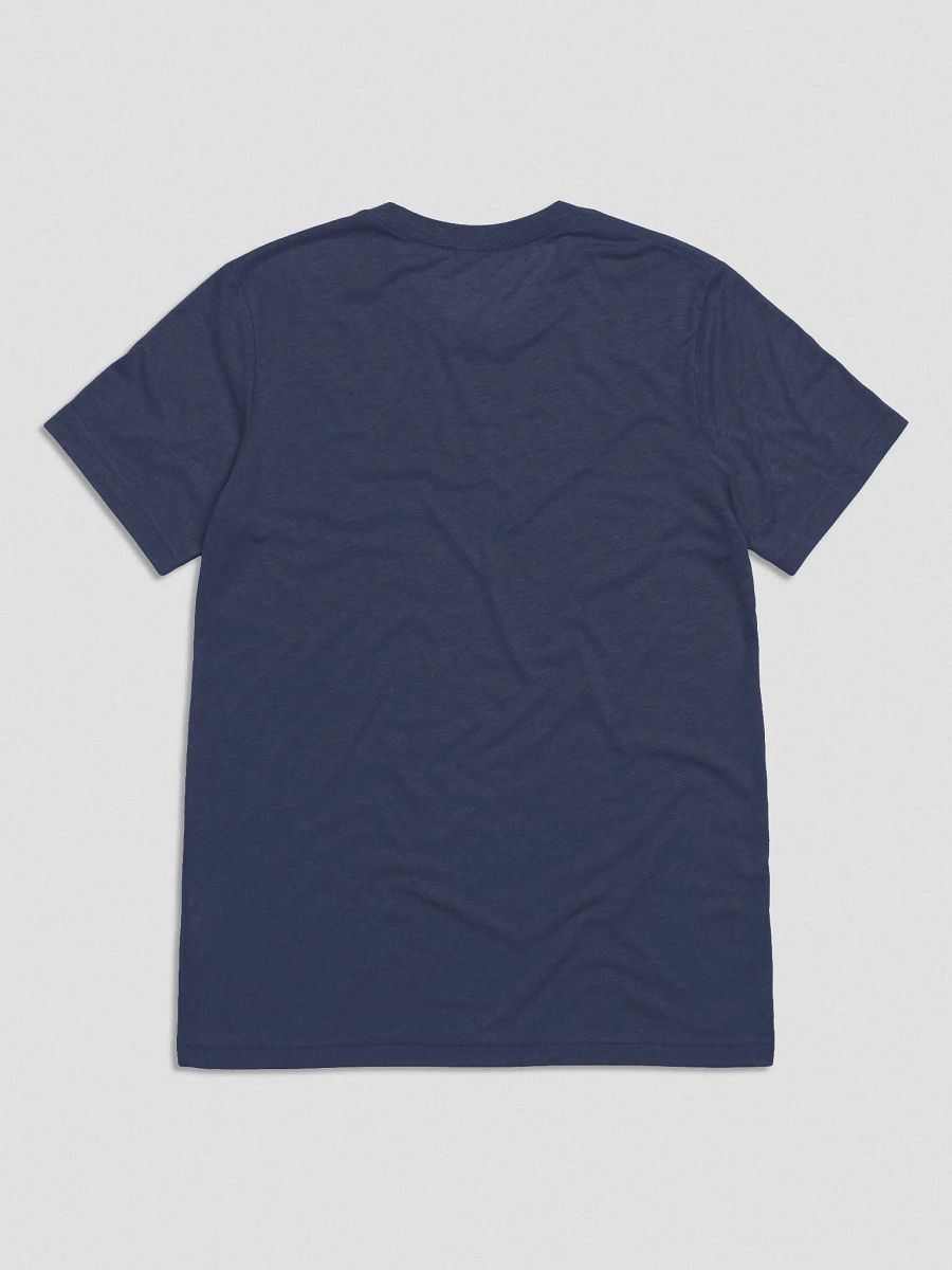 Fancy College T-Shirt (Triblend) product image (14)
