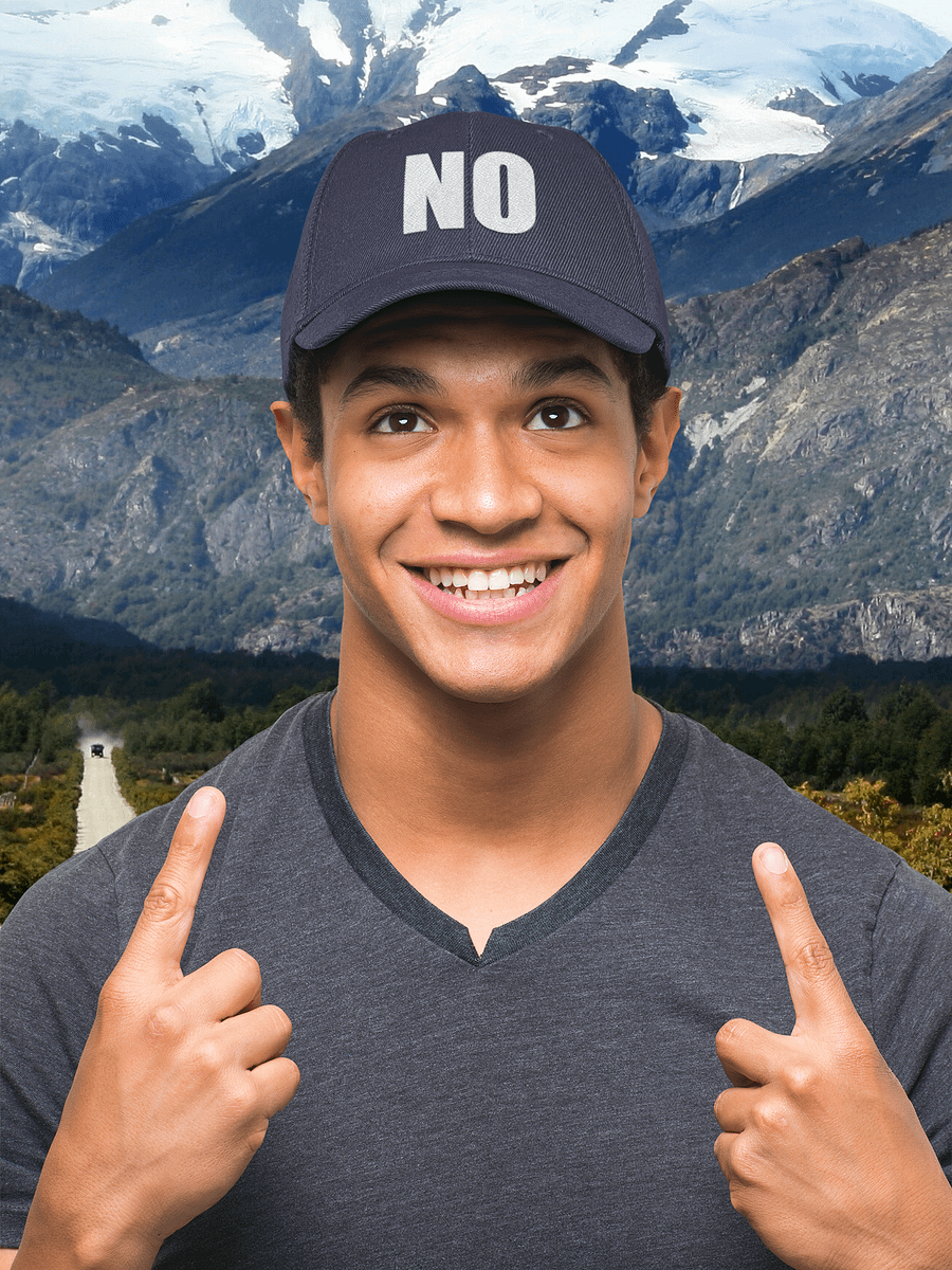 NO embroidered dad hat product image (1)