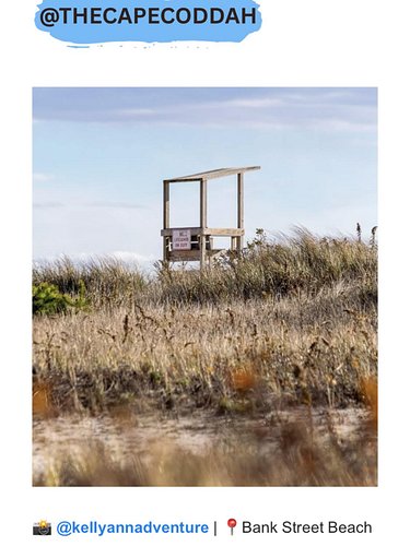 Love this one from @kellyannadventure , last week’s featured newsletter photo!